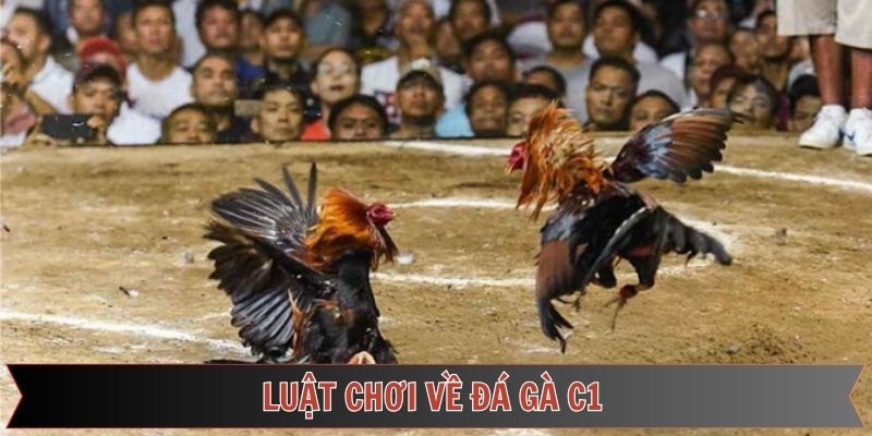 Quy định liên quan đến luật thi đấu người mới cần nắm