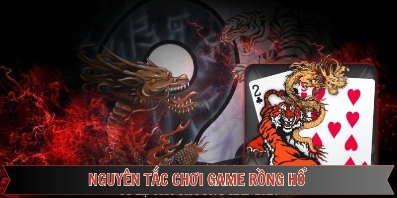Nguyên tắc tham gia Rồng Hổ cần nắm rõ
