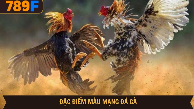 Đặc điểm điển hình của màu mạng đá gà
