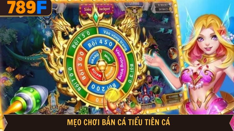 Những kỹ năng cần thiết để chinh phục bắn cá tiểu tiên cá