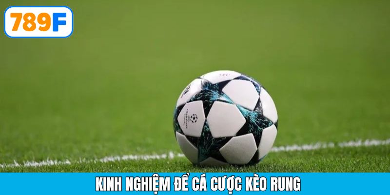 Đặt cược theo cảm tính sẽ khiến bạn xảy ra thua lỗ không đáng có