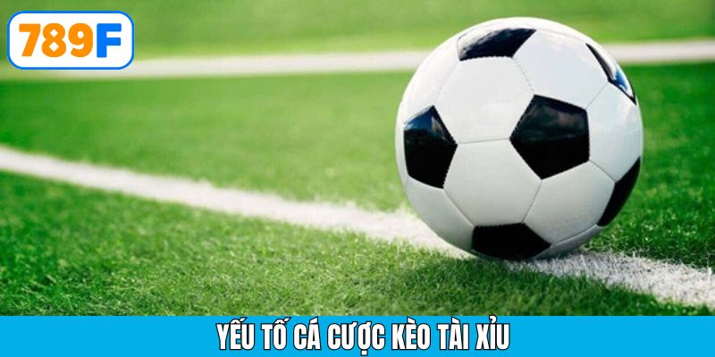 Người chơi phân tích dữ liệu trước trận để chọn kèo tài xỉu chính xác